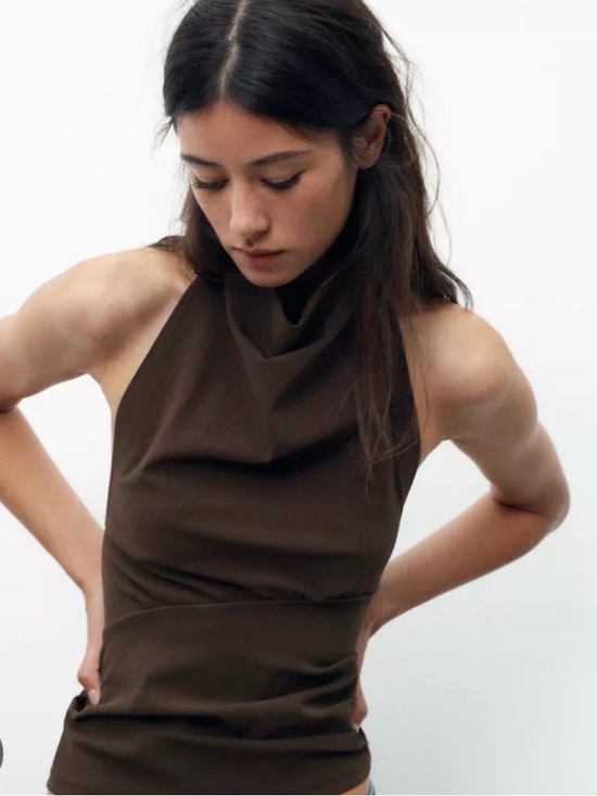 Zara Tops - NWOT Zara Open Back Halter Top Brown